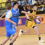 Mladí Sršni nedali táborským Medvědům šanci