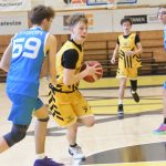 Mladí Sršni nedali táborským Medvědům šanci