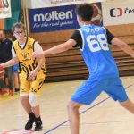 Mladí Sršni nedali táborským Medvědům šanci