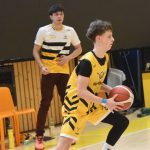 Mladí Sršni nedali táborským Medvědům šanci