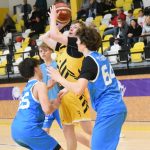 Mladí Sršni nedali táborským Medvědům šanci