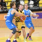 Mladí Sršni nedali táborským Medvědům šanci