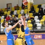 Mladí Sršni nedali táborským Medvědům šanci