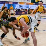 Sršni přepsali dějiny – po osmi prohrách podeváté Opavu zdolali