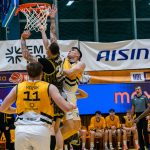 Sršni přepsali dějiny – po osmi prohrách podeváté Opavu zdolali