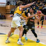 Sršni přepsali dějiny – po osmi prohrách podeváté Opavu zdolali