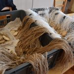 Ideální počasí, pochvalovali si lidé na Hrejkovické dvacítce. Na videu vzpomínají organizátoři. Je libo i psí pohled?