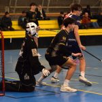 Dorost Lišek těsně porazil Turnov, na Kladno byl krátký