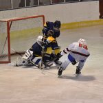 Tříbrankový náskok stačil. Mladší žáci HC Strakonice zvládli duel se Střelci