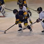 Tříbrankový náskok stačil. Mladší žáci HC Strakonice zvládli duel se Střelci