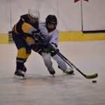 Tříbrankový náskok stačil. Mladší žáci HC Strakonice zvládli duel se Střelci