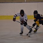 Tříbrankový náskok stačil. Mladší žáci HC Strakonice zvládli duel se Střelci