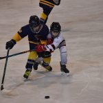 Tříbrankový náskok stačil. Mladší žáci HC Strakonice zvládli duel se Střelci