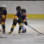 Tříbrankový náskok stačil. Mladší žáci HC Strakonice zvládli duel se Střelci