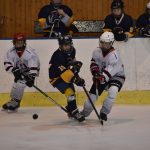 Tříbrankový náskok stačil. Mladší žáci HC Strakonice zvládli duel se Střelci