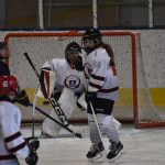 Tříbrankový náskok stačil. Mladší žáci HC Strakonice zvládli duel se Střelci