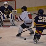 Tříbrankový náskok stačil. Mladší žáci HC Strakonice zvládli duel se Střelci