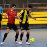 FUTSAL: Základní část ovládli Delfíni! Jak bude vypadat play off?