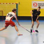 Juniorka Lišek si poradila s Brodem, na Pelhřimov nestačila