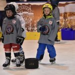 VIDEO: Strakonický led patřil nováčkům. Týden hokeje přilákal 27 dětí