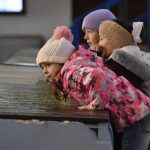 Domácí triumf Parkosové ozdobil Velkou cenu Strakonic