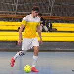 FUTSAL: Vysoké výhry pro Delfíny a Wanasto, tři body berou také Pivovar a Ovce