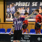 Nejvyšší výhra sezony! Florbalisté Milevska odmítli senzaci