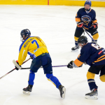 Dorostenci potvrdili prvenství desítkou do sítě Jindřichova Hradce