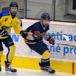 Dorostenci potvrdili prvenství desítkou do sítě Jindřichova Hradce