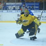 VIDEO: Hasman pomohl kohoutům dvěma góly ke dvěma bodům. Prosadila se i elitní lajna Sokolova