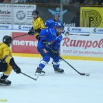 VIDEO: Hasman pomohl kohoutům dvěma góly ke dvěma bodům. Prosadila se i elitní lajna Sokolova