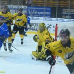 VIDEO: Hasman pomohl kohoutům dvěma góly ke dvěma bodům. Prosadila se i elitní lajna Sokolova