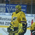 VIDEO: Hasman pomohl kohoutům dvěma góly ke dvěma bodům. Prosadila se i elitní lajna Sokolova