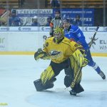 VIDEO: Hasman pomohl kohoutům dvěma góly ke dvěma bodům. Prosadila se i elitní lajna Sokolova