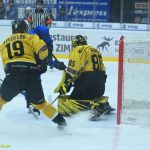 VIDEO: Hasman pomohl kohoutům dvěma góly ke dvěma bodům. Prosadila se i elitní lajna Sokolova