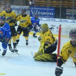 VIDEO: Hasman pomohl kohoutům dvěma góly ke dvěma bodům. Prosadila se i elitní lajna Sokolova