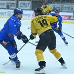 VIDEO: Hasman pomohl kohoutům dvěma góly ke dvěma bodům. Prosadila se i elitní lajna Sokolova