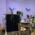 Vánoční odpoledne plné radosti a překvapení v azylovém domě