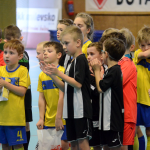 Milevští mladší přípravkáři opanovali domácí turnaj