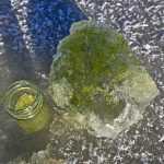 Zelený led na Lipně: Sinice překvapily uprostřed zimy