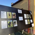 Psí Vánoce přinesly krumlovskému útulku téměř 50 tisíc korun. Přispěli i žáci ZŠ T. G. Masaryka