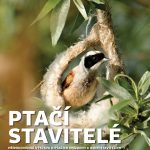 Muzeum v Písku otevírá tři nové výstavy