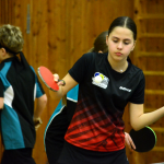 Kovářovský turnaj zažil rekordní účast. Zazářil Jan Škoch