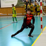 Mladší žáci ovládli domácí turnaj v Milevsku