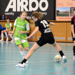 Dívčí turnaj okresů v Milevsku ovládl OFS České Budějovice