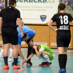 Dívčí turnaj okresů v Milevsku ovládl OFS České Budějovice