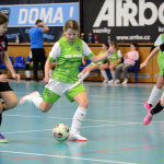 Dívčí turnaj okresů v Milevsku ovládl OFS České Budějovice