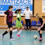 Dívčí turnaj okresů v Milevsku ovládl OFS České Budějovice