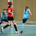 Dívčí turnaj okresů v Milevsku ovládl OFS České Budějovice