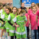 Dívčí turnaj okresů v Milevsku ovládl OFS České Budějovice